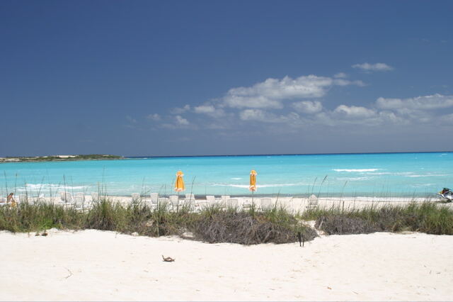 Exuma swimming pigs boat day