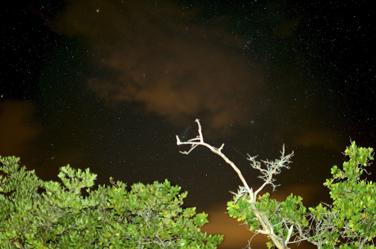 Bioluminescent bay kayak