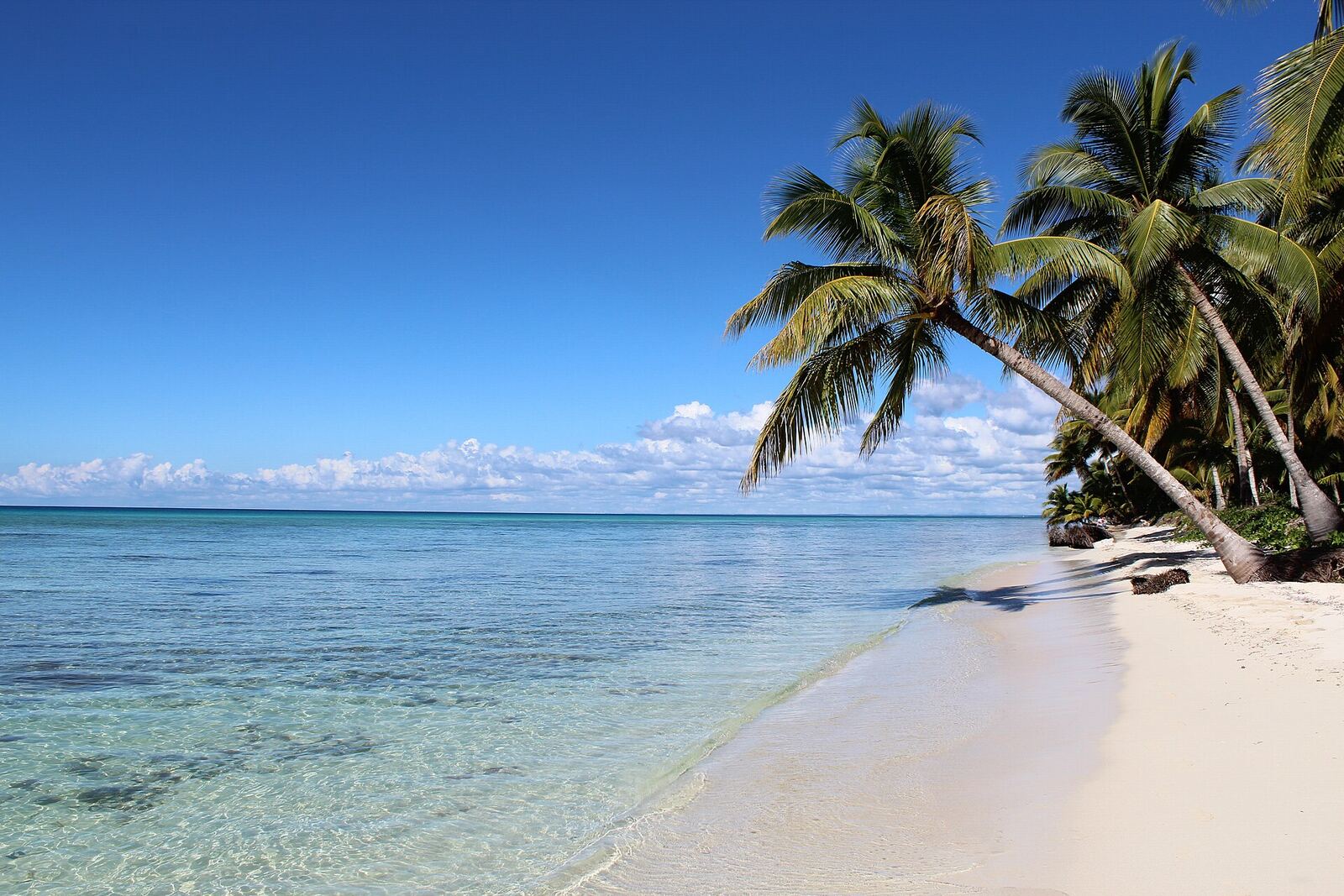 Saona Island catamaran